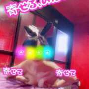 ヒメ日記 2026/03/04 11:00 投稿 ポン ドMなバニーちゃん大宮店