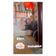 ヒメ日記 2026/05/19 12:13 投稿 ポン ドMなバニーちゃん大宮店