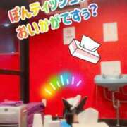 ヒメ日記 2026/05/31 11:00 投稿 ポン ドMなバニーちゃん大宮店