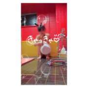 ヒメ日記 2026/07/11 19:18 投稿 ポン ドMなバニーちゃん大宮店