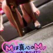 ヒメ日記 2026/08/26 17:00 投稿 ポン ドMなバニーちゃん大宮店