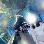 ヒメ日記 2025/06/04 21:44 投稿 Tukino 濃密バブルSPA VIP