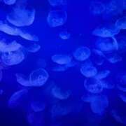 ゆり います🎀 初体験