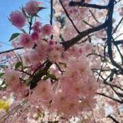 ヒメ日記 2025/02/05 10:22 投稿 レオン選手 お願いマラどーな