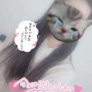 ヒメ日記 2024/12/21 05:18 投稿 きいか 30分3900円！サンキュー静岡店（サンキューグループ）