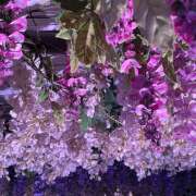 ヒメ日記 2024/12/22 16:10 投稿 みこと an_an（アンアン）