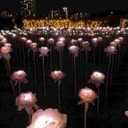 ヒメ日記 2024/12/23 17:45 投稿 みこと an_an（アンアン）