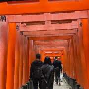 ヒメ日記 2025/01/03 16:15 投稿 みこと an_an（アンアン）