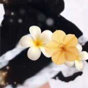 ヒメ日記 2025/11/23 15:09 投稿 優海あんな ザイオン 会員制アロマエステ