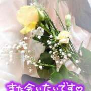 ヒメ日記 2025/06/18 18:15 投稿 笹森くみ プルデリR40滋賀店