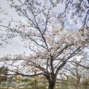 ヒメ日記 2025/03/28 18:46 投稿 サオリ マテリアル