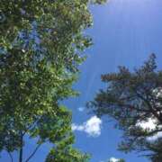 ヒメ日記 2025/07/25 12:31 投稿 サオリ マテリアル