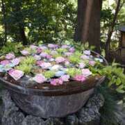 ヒメ日記 2025/02/11 12:01 投稿 北野（Kitano） 東京エステティシャン