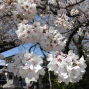 ヒメ日記 2025/04/06 21:23 投稿 北野（Kitano） 東京エステティシャン