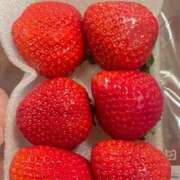 ヒメ日記 2025/03/15 21:21 投稿 愛琉(める) ESTE ALLURE