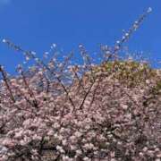 ヒメ日記 2025/04/06 13:09 投稿 あやせ 川崎ソープ　クリスタル京都南町