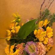 ヒメ日記 2025/01/28 13:47 投稿 九蘭 雫 バルボラ マリン