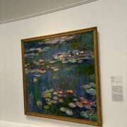 ヒメ日記 2025/01/29 10:17 投稿 九蘭 雫 バルボラ マリン