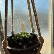 ヒメ日記 2025/02/06 16:53 投稿 九蘭 雫 バルボラ マリン