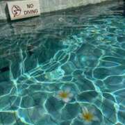 ヒメ日記 2025/02/28 10:37 投稿 九蘭 雫 バルボラ マリン