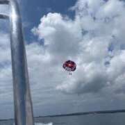 ヒメ日記 2025/03/01 07:27 投稿 九蘭 雫 バルボラ マリン