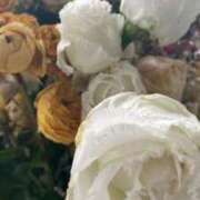 ヒメ日記 2025/03/08 13:49 投稿 九蘭 雫 バルボラ マリン