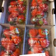 ヒメ日記 2025/03/14 07:17 投稿 九蘭 雫 バルボラ マリン