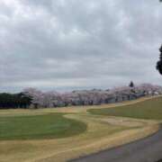 ヒメ日記 2025/04/11 18:17 投稿 九蘭 雫 バルボラ マリン