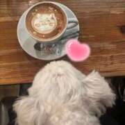 ヒメ日記 2025/05/03 13:57 投稿 九蘭 雫 バルボラ マリン