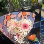 ヒメ日記 2025/06/05 16:17 投稿 九蘭 雫 バルボラ マリン