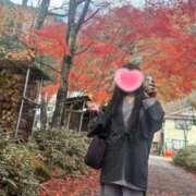 ヒメ日記 2025/10/04 09:47 投稿 九蘭 雫 バルボラ マリン