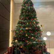 ヒメ日記 2025/11/05 13:47 投稿 九蘭 雫 バルボラ マリン