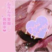 ヒメ日記 2024/12/26 09:39 投稿 みほ 鶯谷スピン