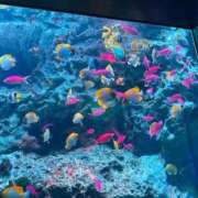 ヒメ日記 2025/01/22 12:39 投稿 みほ 鶯谷スピン