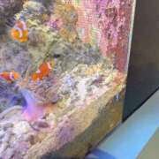 ヒメ日記 2025/03/17 15:19 投稿 みほ 鶯谷スピン