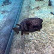 ヒメ日記 2025/04/30 10:12 投稿 みほ 鶯谷スピン