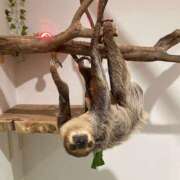 ヒメ日記 2025/05/07 12:49 投稿 みほ 鶯谷スピン