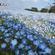 ヒメ日記 2025/04/28 07:33 投稿 あいり 人妻倶楽部 内緒の関係 越谷店