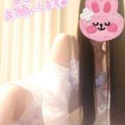 ヒメ日記 2025/04/08 08:47 投稿 酒井 変態美熟女お貸しします。