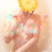 ヒメ日記 2025/06/18 07:47 投稿 酒井 変態美熟女お貸しします。