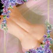 ヒメ日記 2025/06/20 09:07 投稿 酒井 変態美熟女お貸しします。