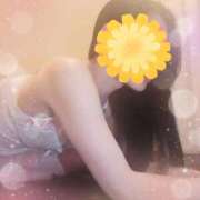 ヒメ日記 2025/07/03 08:57 投稿 酒井 変態美熟女お貸しします。