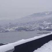 ヒメ日記 2026/02/08 16:27 投稿 酒井 変態美熟女お貸しします。