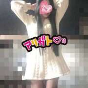 ヒメ日記 2026/03/13 20:37 投稿 酒井 変態美熟女お貸しします。