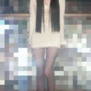 ヒメ日記 2026/03/19 00:37 投稿 酒井 変態美熟女お貸しします。