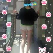 ヒメ日記 2026/04/08 11:57 投稿 酒井 変態美熟女お貸しします。