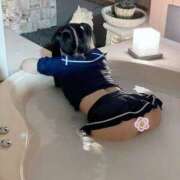 ヒメ日記 2026/04/16 08:17 投稿 酒井 変態美熟女お貸しします。