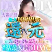ヒメ日記 2026/07/25 08:15 投稿 結月(ゆづき) DAHLIA(ダリア)
