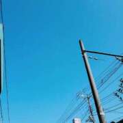 ヒメ日記 2025/02/04 10:42 投稿 りお 奥様プリモ