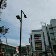 ヒメ日記 2025/03/13 11:09 投稿 りお 奥様プリモ